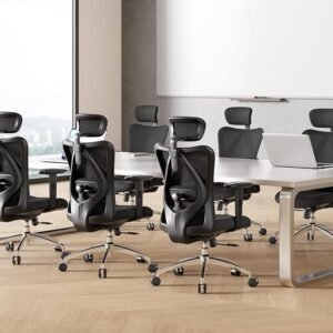 sihoo m18 ergonomic office chair with lumbar support