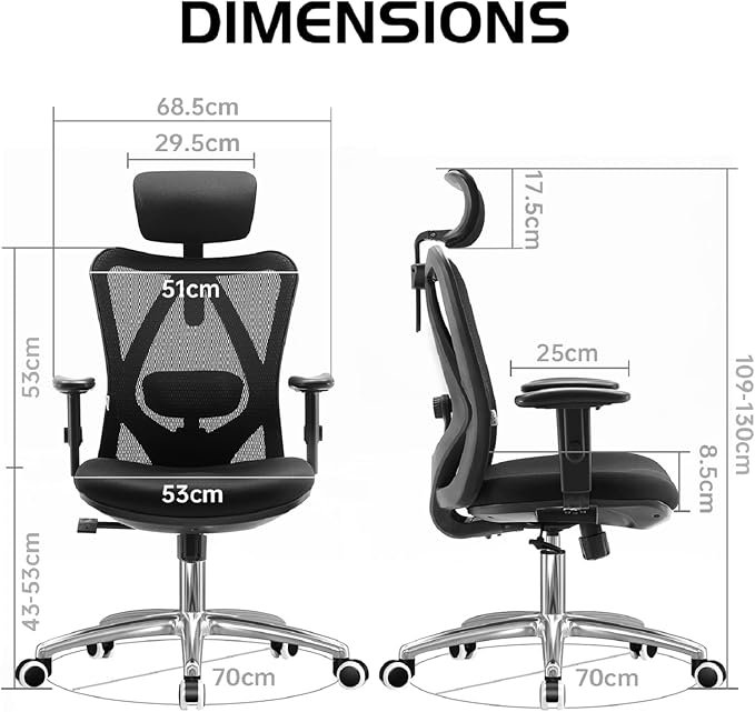 SIHOO Chair View 2